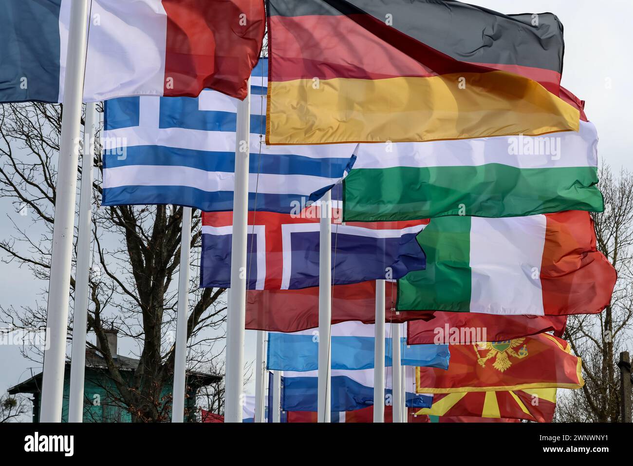 Korzeniewo, Polen am 4. März 2024. NATO-Mitgliedsflaggen werden als NATO-Soldaten gesehen, die während der Dragon-24-Übung der NATO, einem Teil der großen, standhaften Defender-24-Übung, die Fähigkeit ausüben, gepanzerte Fahrzeuge durch die Weichsel auf Fähren zu überqueren. An den standhaften Defender-2-Übungen, die hauptsächlich in Mitteleuropa stattfinden werden, werden rund 90.000 Soldaten aus allen NATO-Ländern sowie Schweden teilnehmen. Ihr Ziel ist es, gegen Aggressionen Verteidigungsfähigkeiten abzuschrecken und zu präsentieren. Stockfoto