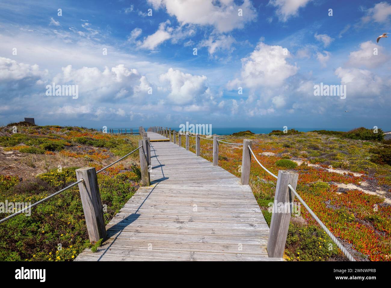 Die hölzerne Treppe an der felsigen Küste an einem sonnigen Tag. Polvoeira den Strand. Pataias, Portugal, Europa Stockfoto