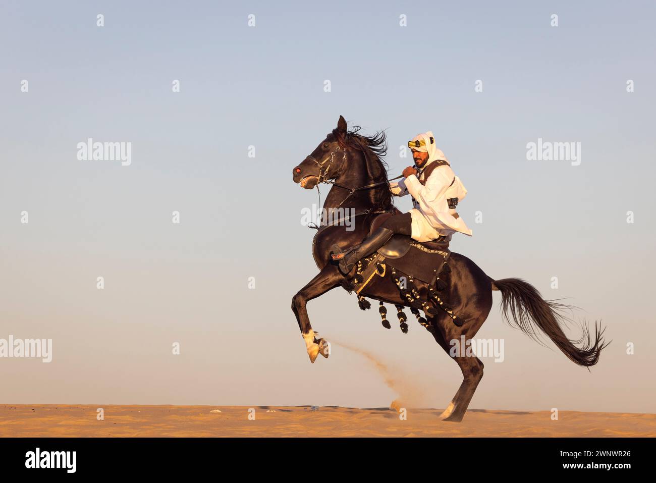 Saudischer Mann in der Wüste mit seinem schwarzen Pferd Stockfoto