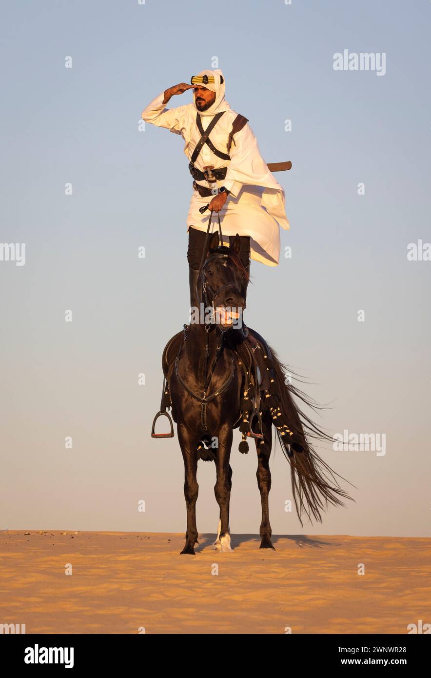 Saudischer Mann in der Wüste mit seinem schwarzen Pferd Stockfoto