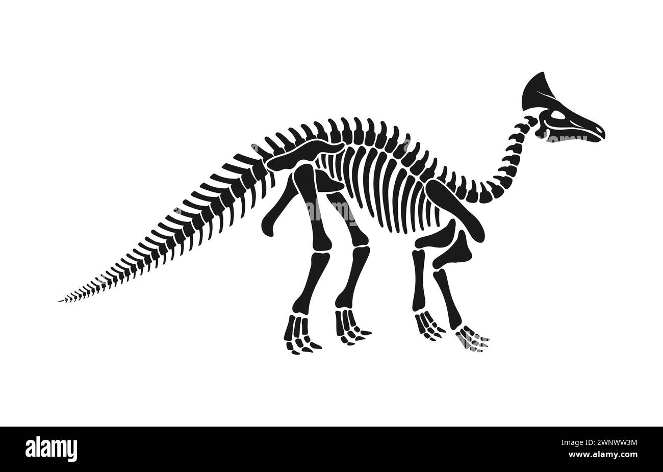 Isoliertes olorotitan Dinosaurier Skelett Fossil, Dino Knochen schwarze Vektorsilhouette. Seltener Fund, der die Besonderheiten dieses pflanzenfressenden hadrosauriden Kreaturen aus der späten kreidezeit enthüllt Stock Vektor