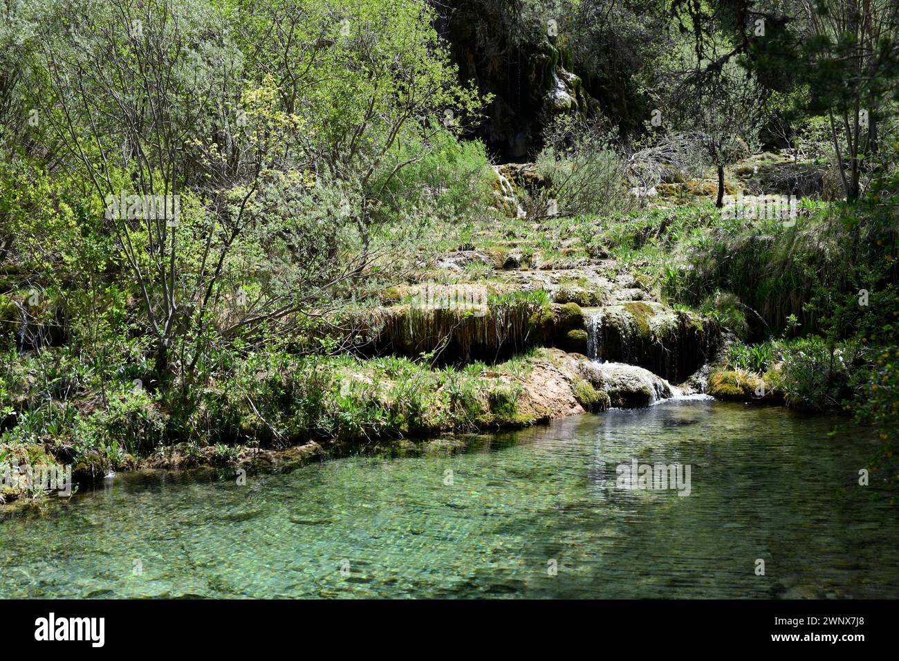 Fluss Cuervo (Naturdenkmal). Vega del Codorno, Cuenca, Castilla-La Mancha, Spanien. Stockfoto