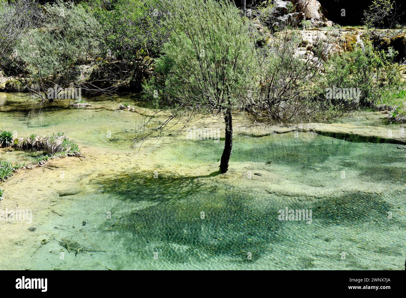 Fluss Cuervo (Naturdenkmal). Vega del Codorno, Cuenca, Castilla-La Mancha, Spanien. Stockfoto