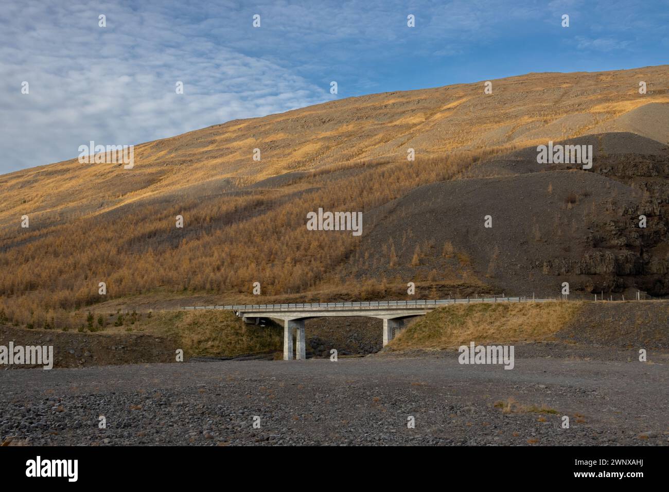 Brücke neben einem großen Berg, bedeckt von trockenen Bäumen. Trockenes Flussbett. Blauer Himmel mit weißen Wolken. Gebiet von Siduvegur, Nordwest-Island. Stockfoto