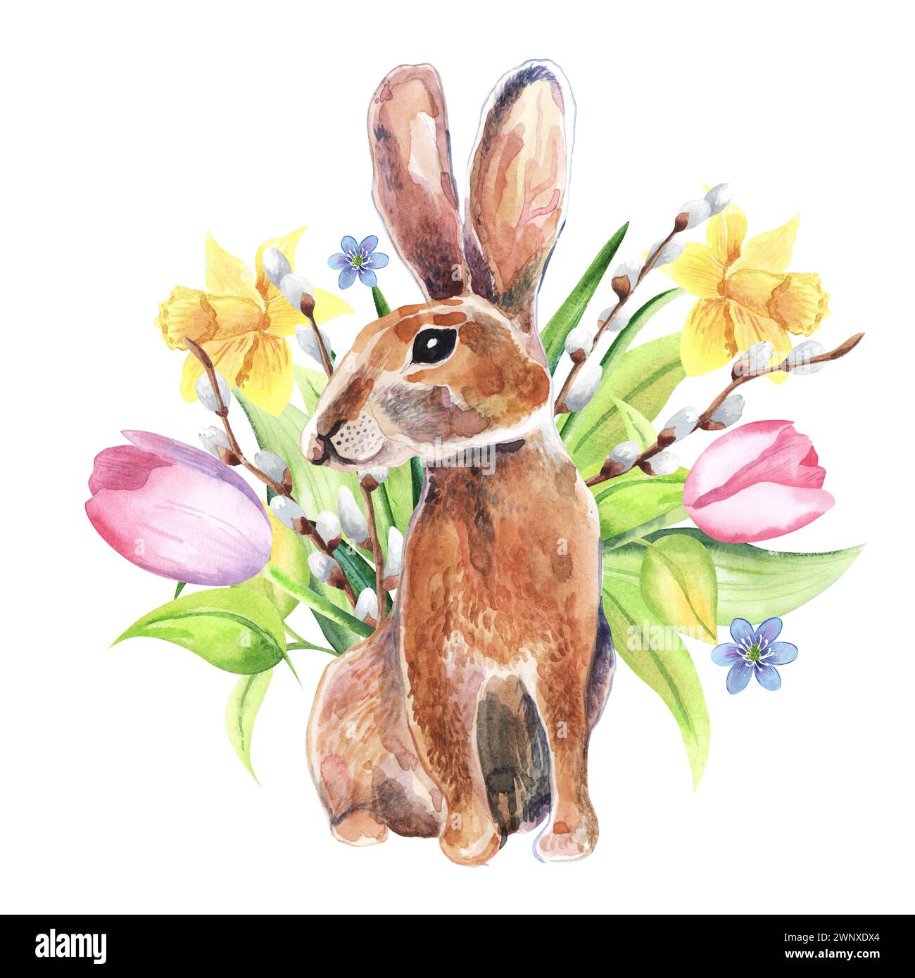 Ostern Aquarellillustration von Kaninchen, Blumen, Tulpen, Narzissen, Weidenzweigen. Farbenfroher, isolierter, weißer Hintergrund. Handgezeichnet Stockfoto