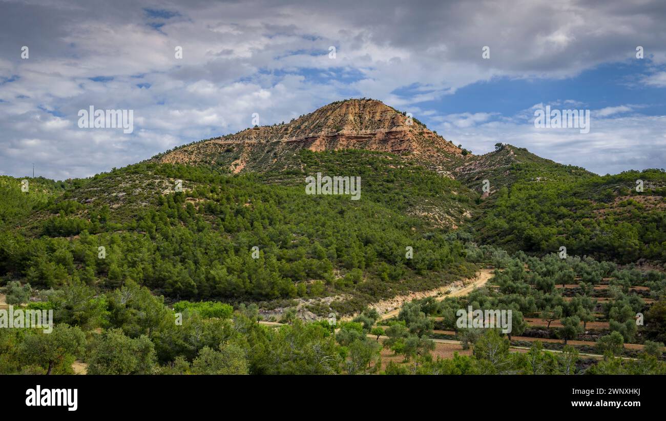 Blick auf den Berg Punta de Montmaneu von der Route zum Gipfel an einem Frühlingsmorgen (Segrià, Lleida, Katalonien, Spanien) Stockfoto