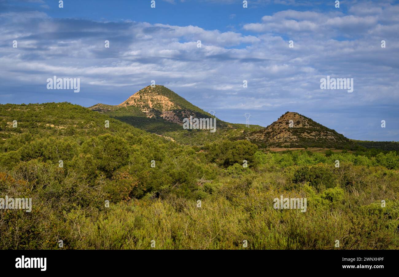 Blick auf den Berg Punta de Montmaneu von der Route zum Gipfel an einem Frühlingsmorgen (Segrià, Lleida, Katalonien, Spanien) Stockfoto