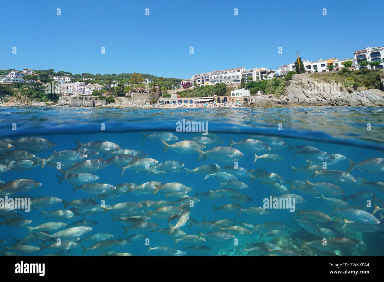 Spanien touristische Stadt an der Mittelmeerküste, von der Meeresoberfläche aus gesehen, mit einer Fischschule unter Wasser, natürlicher Landschaft, geteilter Aussicht über und unter Wasser Stockfoto