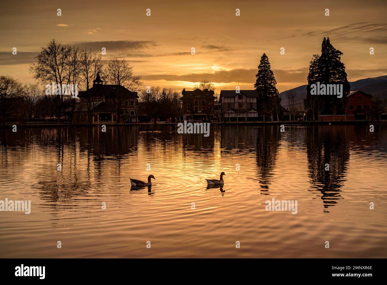 Goldener Sonnenuntergang am Puigcerdà-Teich an einem Winternachmittag (Cerdanya, Girona, Katalonien, Spanien, Pyrenäen) ESP: Atardecer dorado en el lago de Puigcerdà Stockfoto