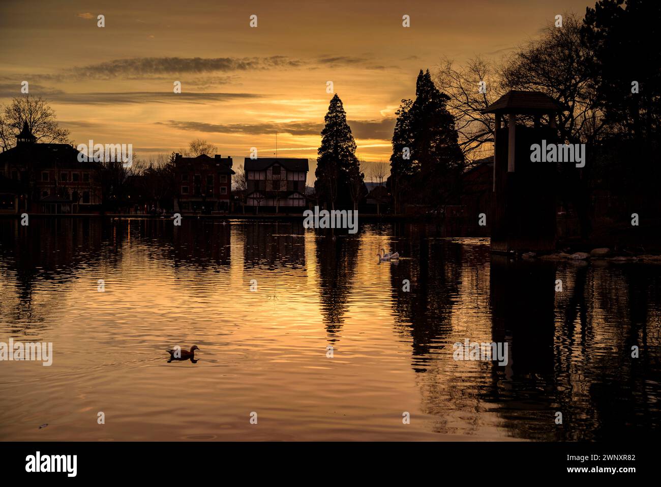 Goldener Sonnenuntergang am Puigcerdà-Teich an einem Winternachmittag (Cerdanya, Girona, Katalonien, Spanien, Pyrenäen) ESP: Atardecer dorado en el lago de Puigcerdà Stockfoto