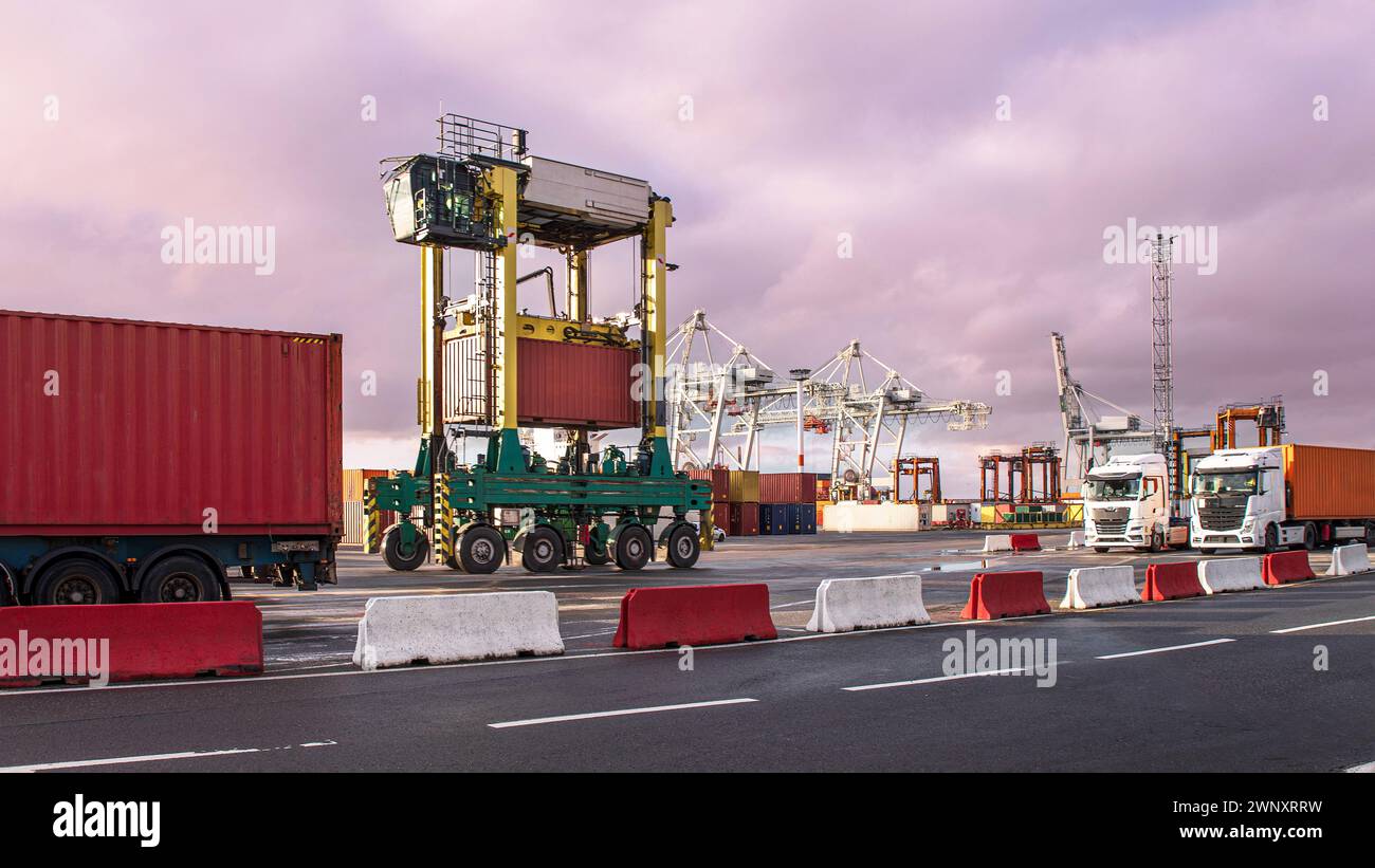 Entladen von Containern in einem Handelshafen mit Kränen und Lkws Stockfoto