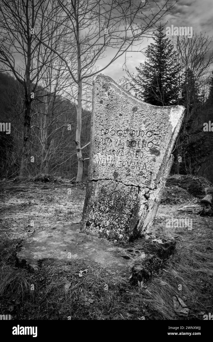 Obelisk zum Gedenken an die polnische Militäreinheit, die 1963 die Straße baute. Bieszczady Mountains. Ostkarpaten, Polen. Stockfoto