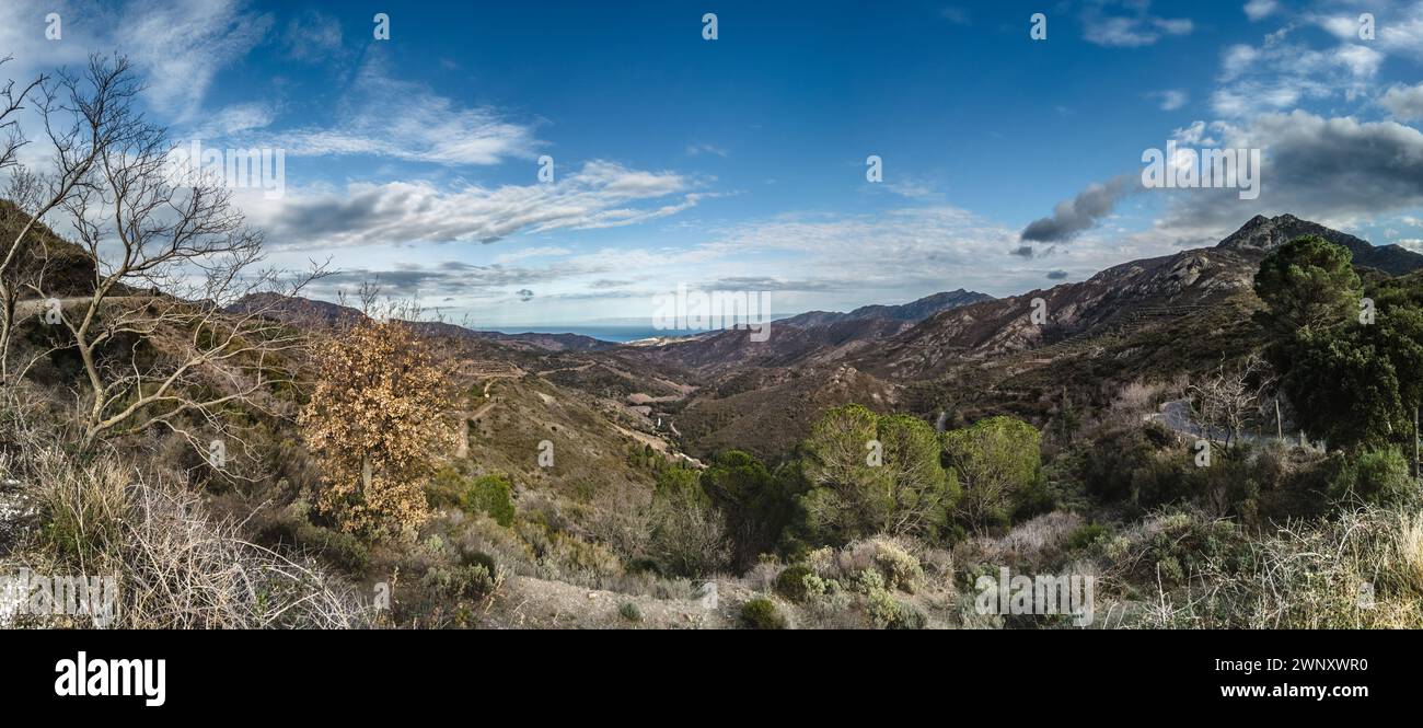 Vue Panorama depuis le Col de Banyuls en direction de Banyuls sur Mer Stockfoto