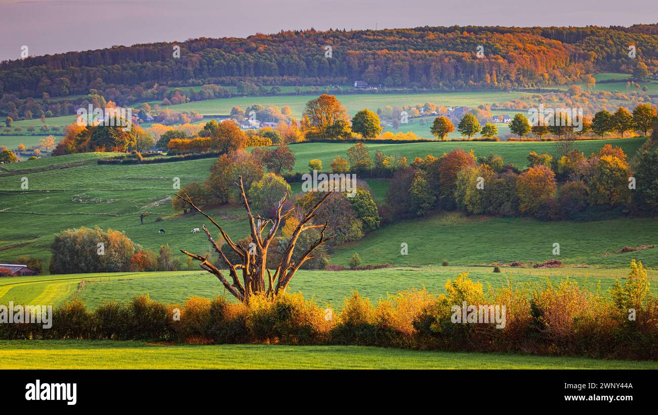Ein horizontales 16:9-Foto vom Herbst und die Herbstfarben fangen das erste Licht des Tages im tiefen Süden Limburgs an der Grenze zu den Niederlanden ein Stockfoto