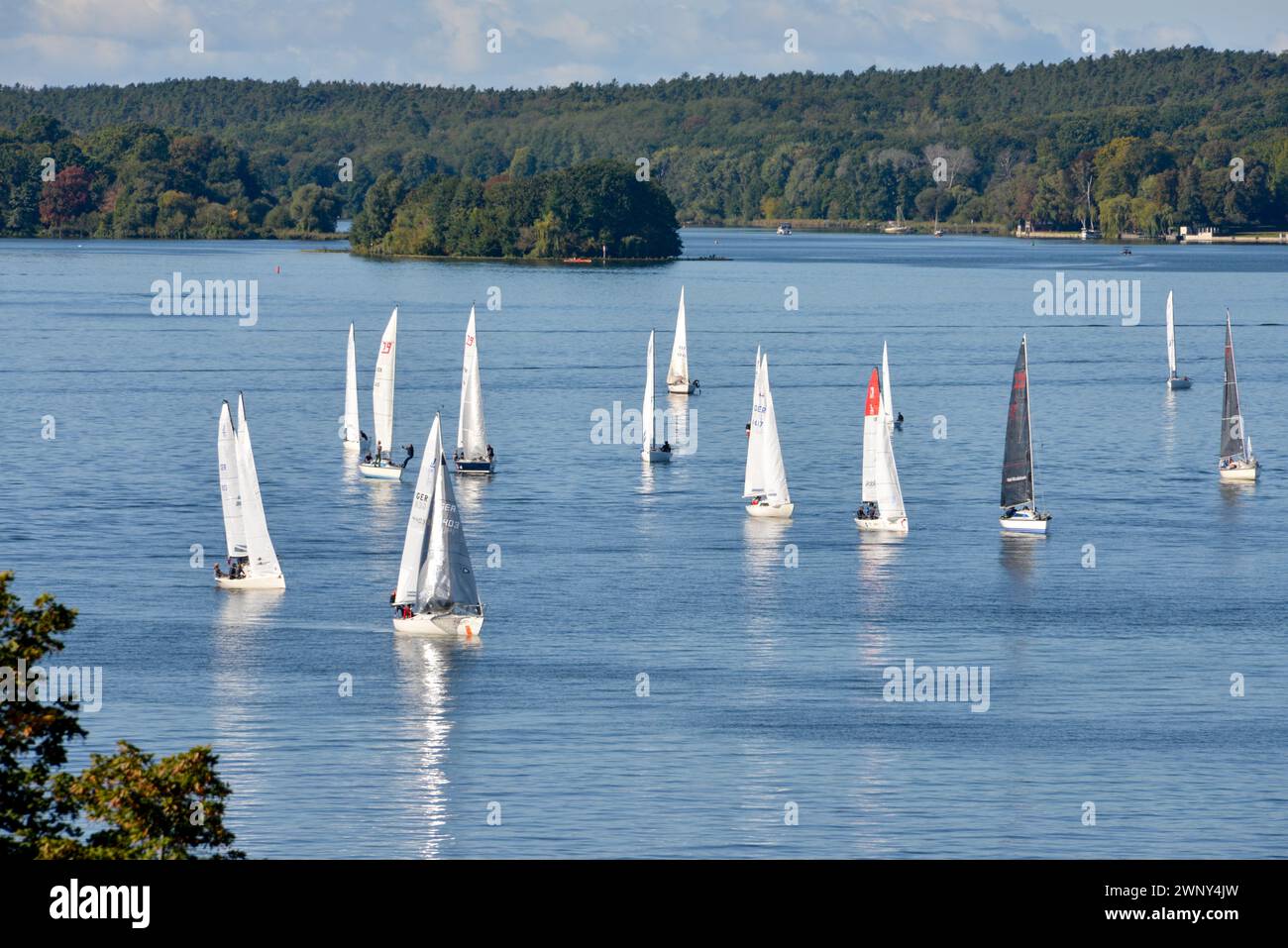 Eine Gruppe von Segelbooten, die an einem Clubreennen am Wannsee in Berlin teilnehmen. Segeln ist eine beliebte Sportart auf den westlichen Seen der deutschen Hauptstadt. Stockfoto