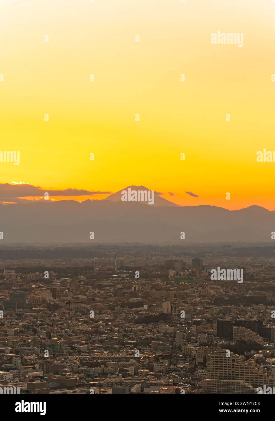 Herrlicher Sonnenuntergang zur goldenen Stunde mit Blick auf die urbane Stadtlandschaft der Megalopolis von Tokio, deren winzige Gebäude so weit das Auge sehen kann, Kontrast zu sehen Stockfoto