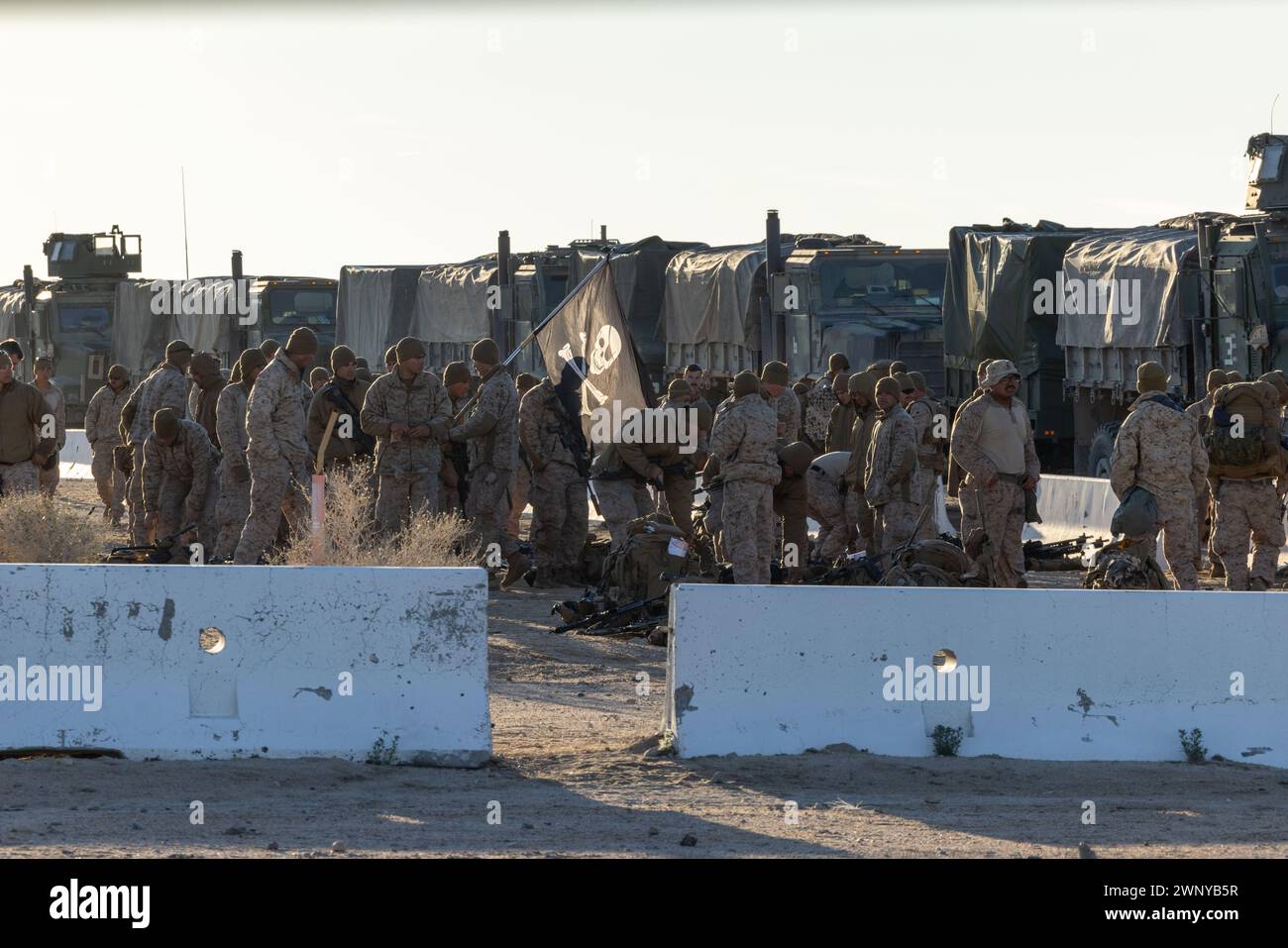 U.S. Marines mit 2. Bataillon, 4. Marine Regiment, 1. Marine Division, Bühnenausrüstung für einen Bodenangriff während einer Marine Air-Ground Task Force verteilt Manöver Übung als Teil der Service Level Training Übung 2-24 im Marine Corps Air-Ground Combat Center, Twentynine Palms, Kalifornien, 14. Februar 2024. MDMX bereitet Marines auf zukünftige Konflikte vor, indem sie offensiv- und defensives Live-Feuer und Manövrierübungsszenarien in einer strengen Trainingsumgebung durchführen. (Foto von Lance CPL Anna Higman) Stockfoto