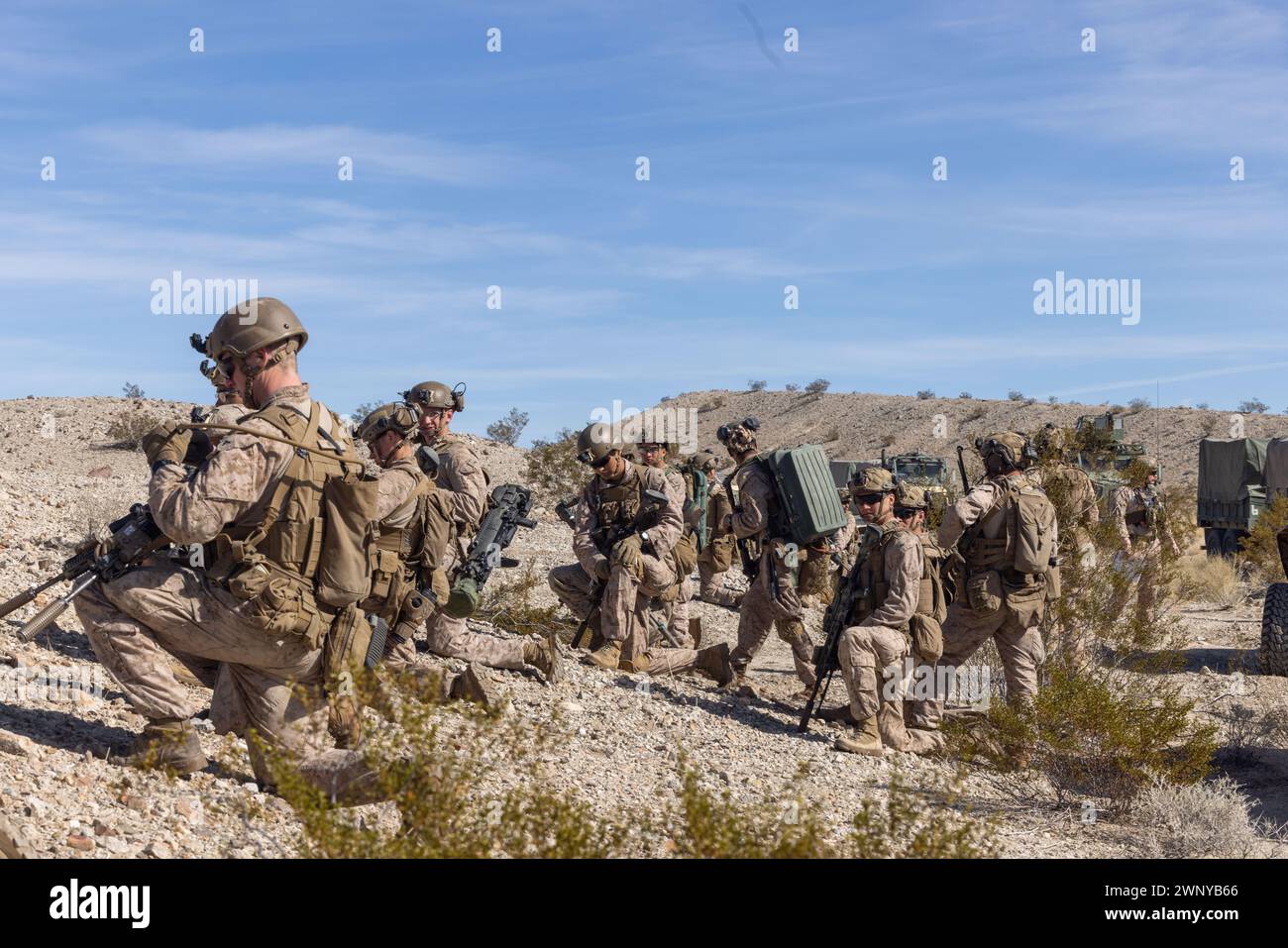 US-Marines mit 2. Bataillon, 4. Marine-Regiment, 1. Marine-Division, bereiten sich auf einen Bodenangriff während einer Marine Air-Ground Task Force vor, die als Teil der Service Level Training Übung 2-24 im Gays Pass Trainingsbereich, Marine Corps Air-Ground Combat Center, Twentynine Palms, Kalifornien, 14. Februar, 2024. MDMX bereitet Marines auf zukünftige Konflikte vor, indem sie offensiv- und defensives Live-Feuer und Manövrierübungsszenarien in einer strengen Trainingsumgebung durchführen. (Foto von Lance CPL Anna Higman) Stockfoto