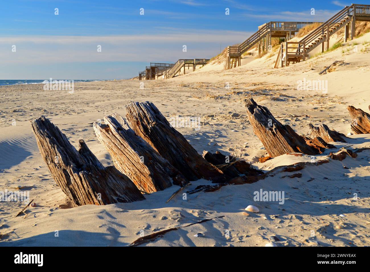Die Überreste eines historischen Schiffswracks stichen durch den Sand entlang der Outer Banks von North Carolina. Stockfoto