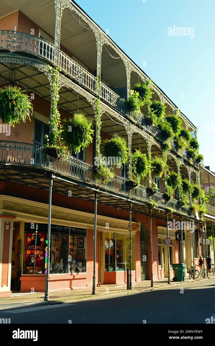 Farne hängen von den Galerien im French Quarter von New Orleans. Stockfoto