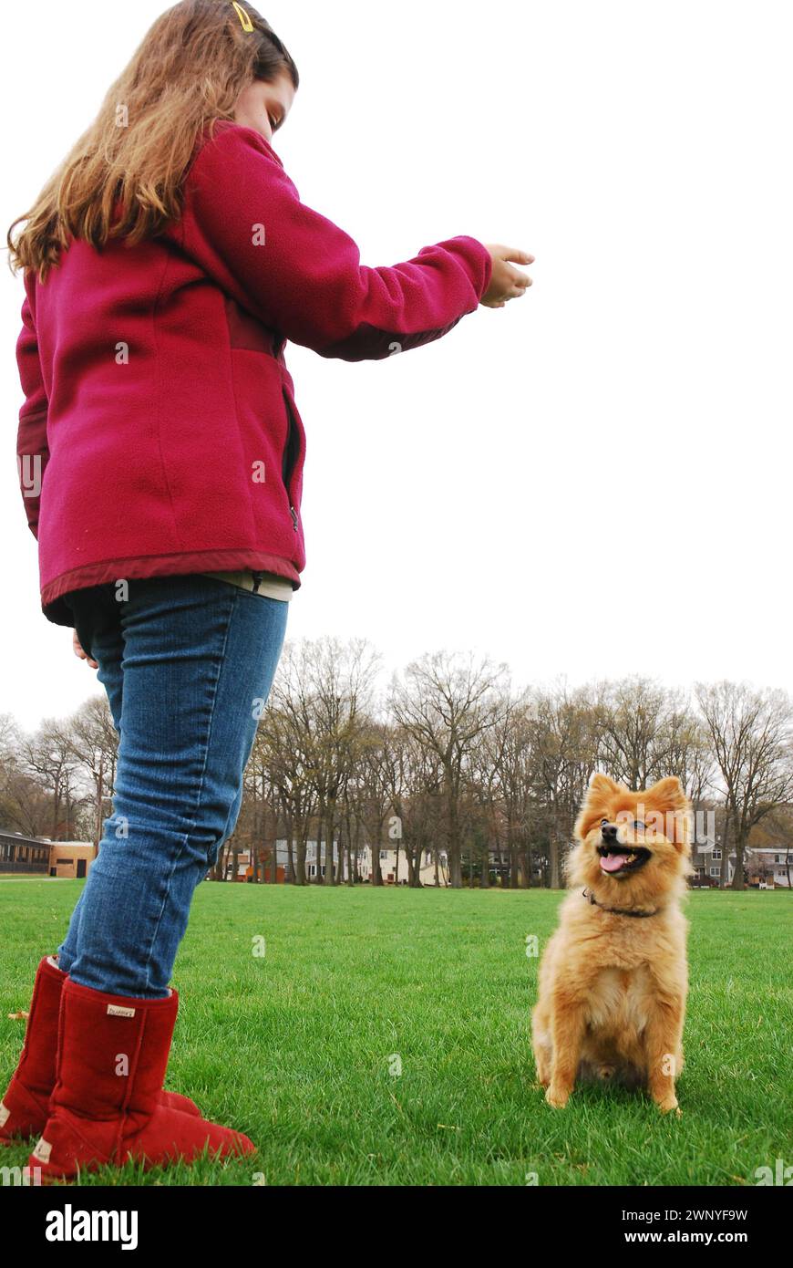 Ein junges Mädchen trainiert ihren Hund, mit Handsignalen zu sitzen und zu bleiben Stockfoto