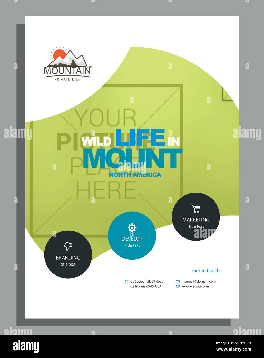 Vector Moderne Corporate Business Flyer Design Vorlage Stock Vektor