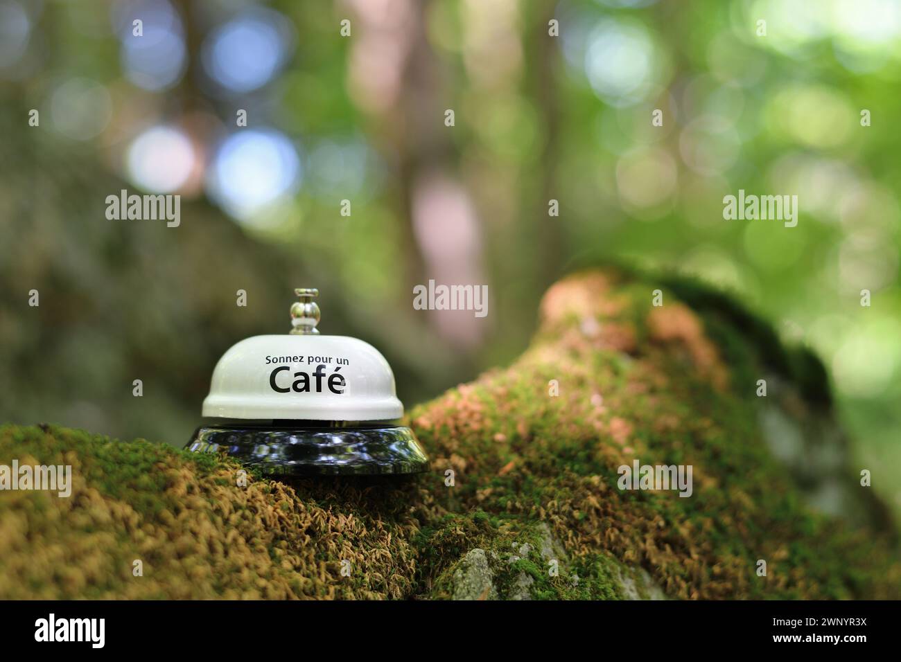 Ring für Kaffee. Weiße Serviceglocke auf moosbedecktem Felsen. Stockfoto