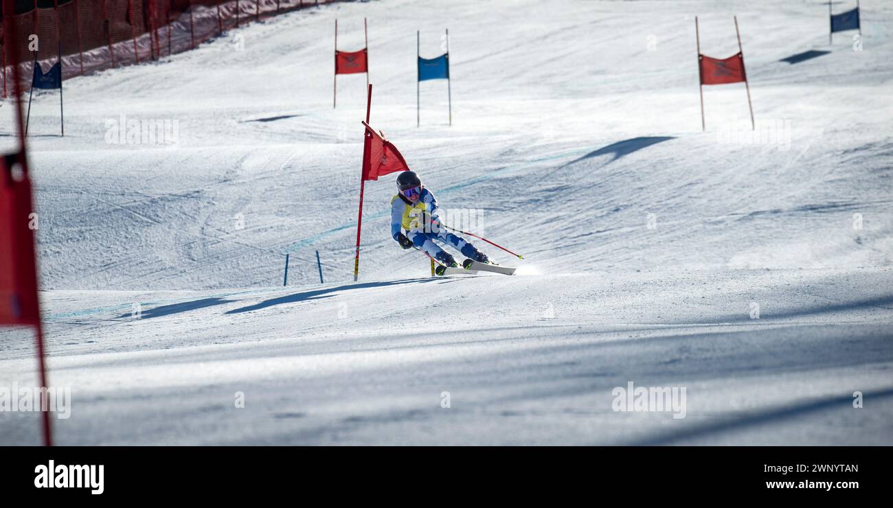 Airborne U18 weibliche Skirennläuferin, die beim Giant Slalom Rennen in Mount Sunapee, NH, USA ein Tor dreht Stockfoto