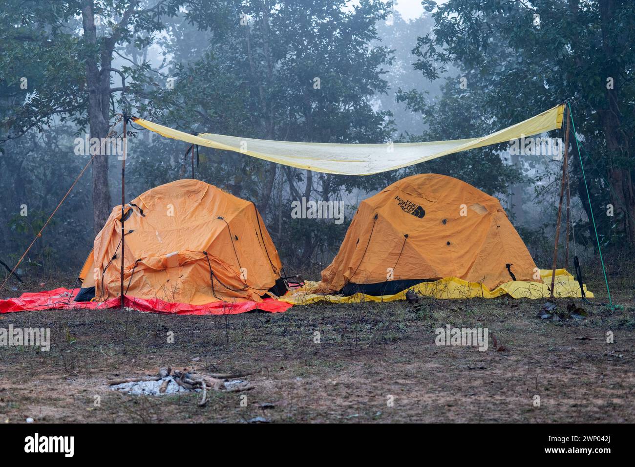 Freunde zelten für ein paar Tage in ihren Bodenzelten in Madhya Pradesh, Indien Stockfoto