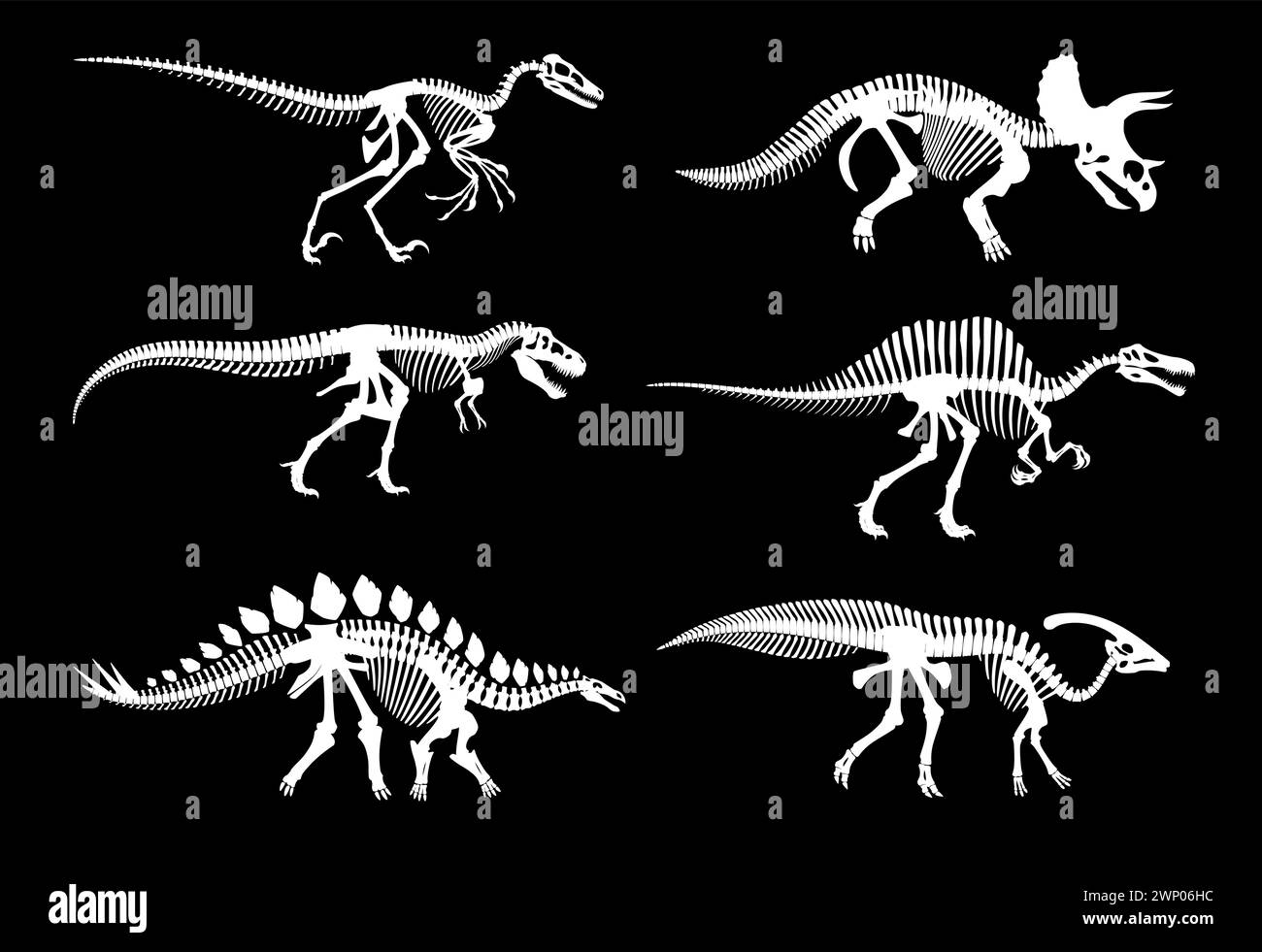 Dinosaurier-fossile Skelette und jurassische Dino-Knochen-Abdrücke, Vektorweiße Silhouetten. Dinosaurierarchäologie fossile Skelette ausgestorbener Reptilien, T-rex t Stock Vektor