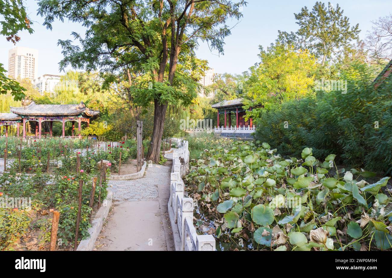 Wanderweg durch den Garten des Renmin Parks in Tianjin, China Stockfoto