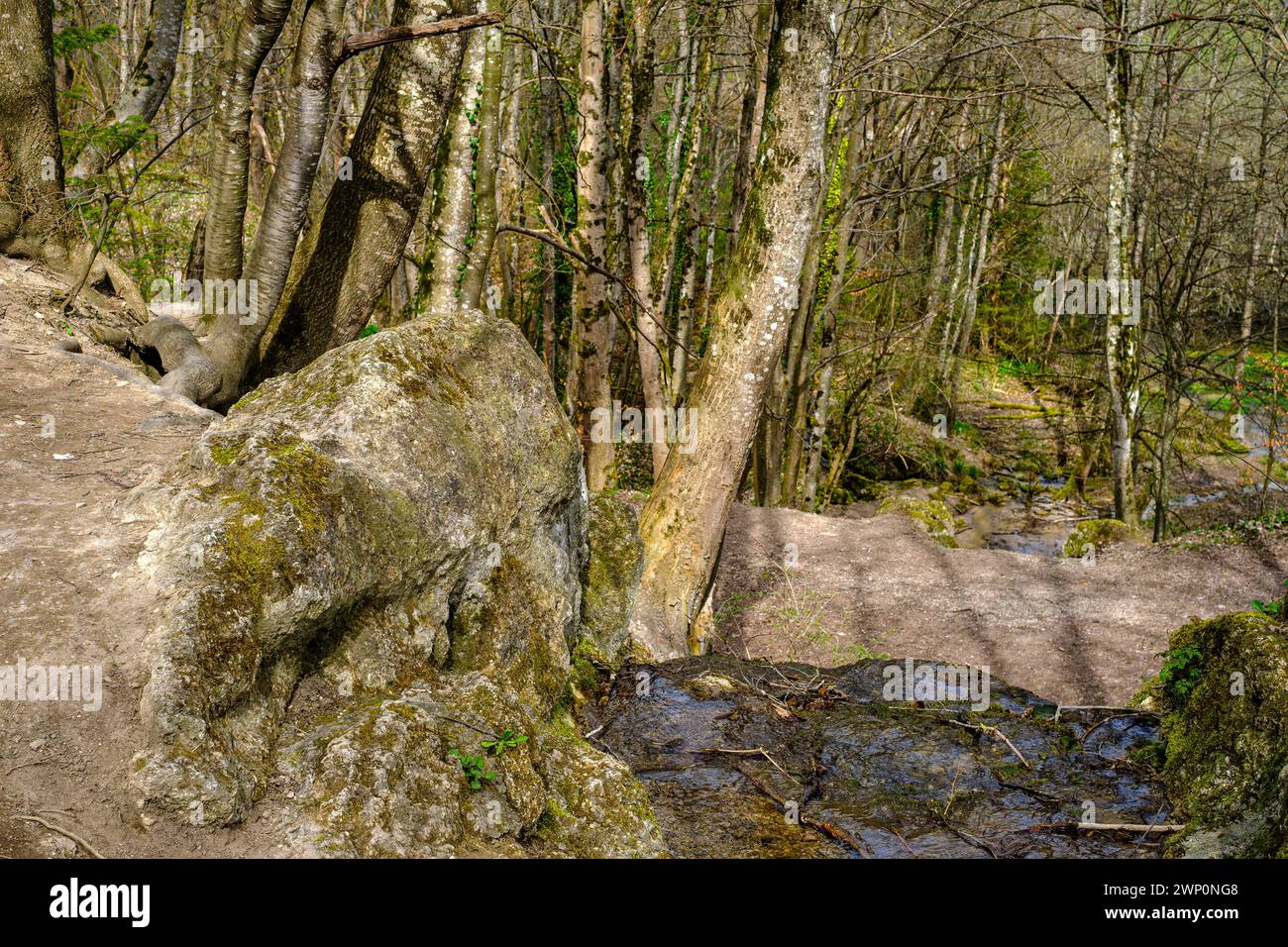 Kalktuffgestein und Vegetation am Rander der Wiesaz im Wiesaztal auf der Schwäbischen Alb bei Gönningen, Baden-Württemberg, Deutschland. Stockfoto