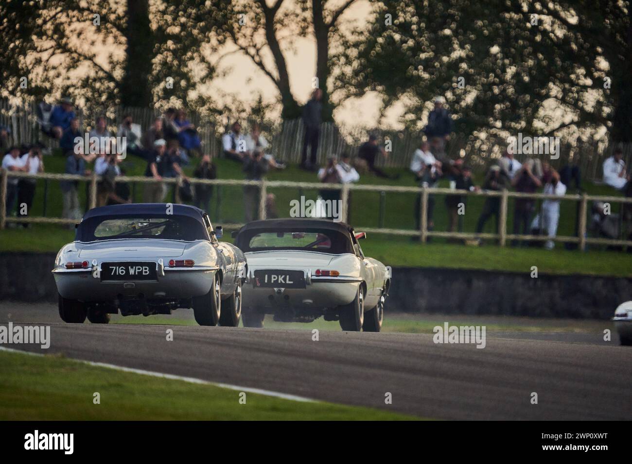 Jaguar E-Types kämpfen während der Stirling Moss Memorial Trophy, Goodwood Revival 2021 Stockfoto