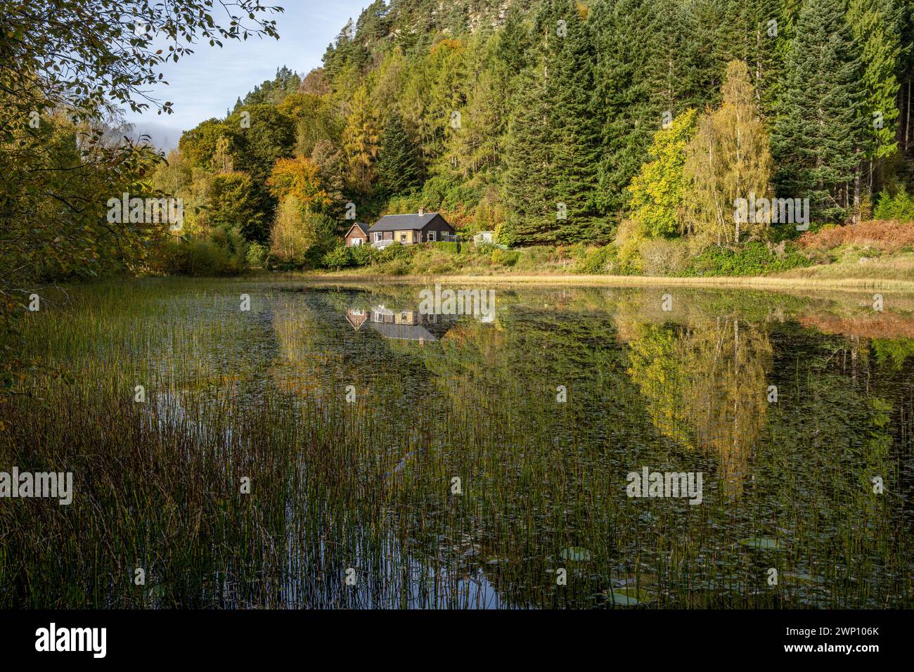 Herbstfarben und Reflexionen in Polney Loch in der Nähe von Dunkeld, Schottland. Stockfoto