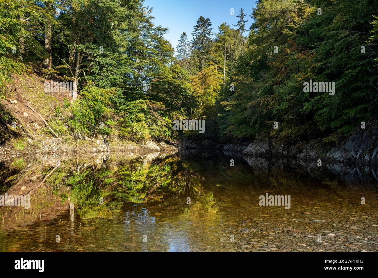 Herbstfärbung in den Wäldern der Garry Bridge bei pitlochry, Schottland Stockfoto