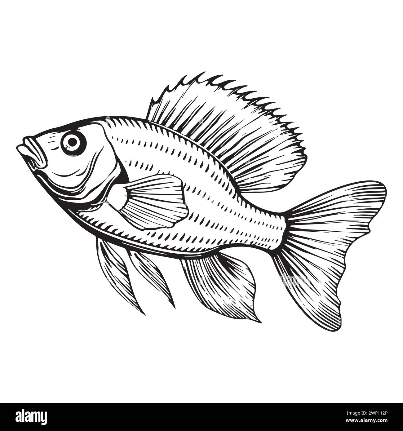 Handgezeichnete Umrisse Sketch Fische. Tintenzeichnung Meeresbewohner Maskottchen. Stock Vektor
