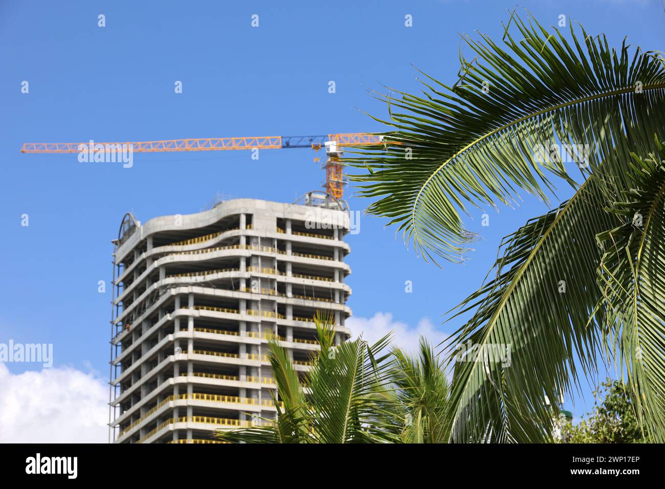Blick durch Palmenblätter zu Turmkran und unvollendetem Bau, Bauindustrie in tropischen Ländern Stockfoto