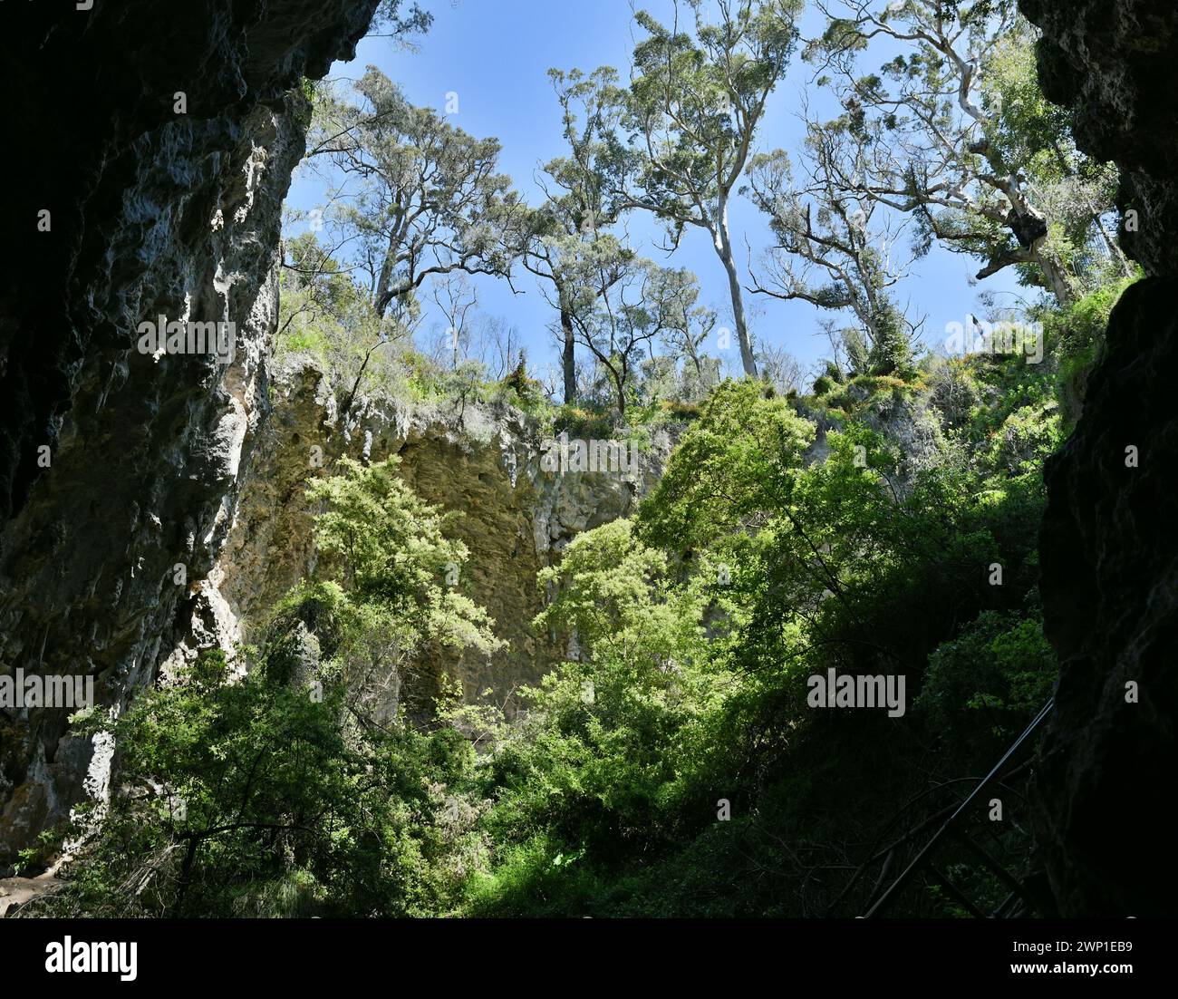 Ausfahrt der Mammoth Cave im Leeuwin-Naturaliste National Park (WA) Stockfoto