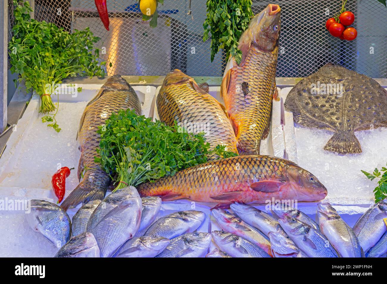 Frischer Fisch auf einem Fischmarkt in der Türkei. Stockfoto