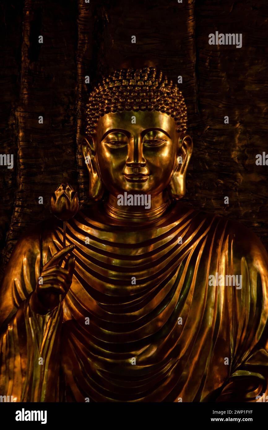 Buddha aus einem Tempel in der Stadt Sa Pa. Stockfoto