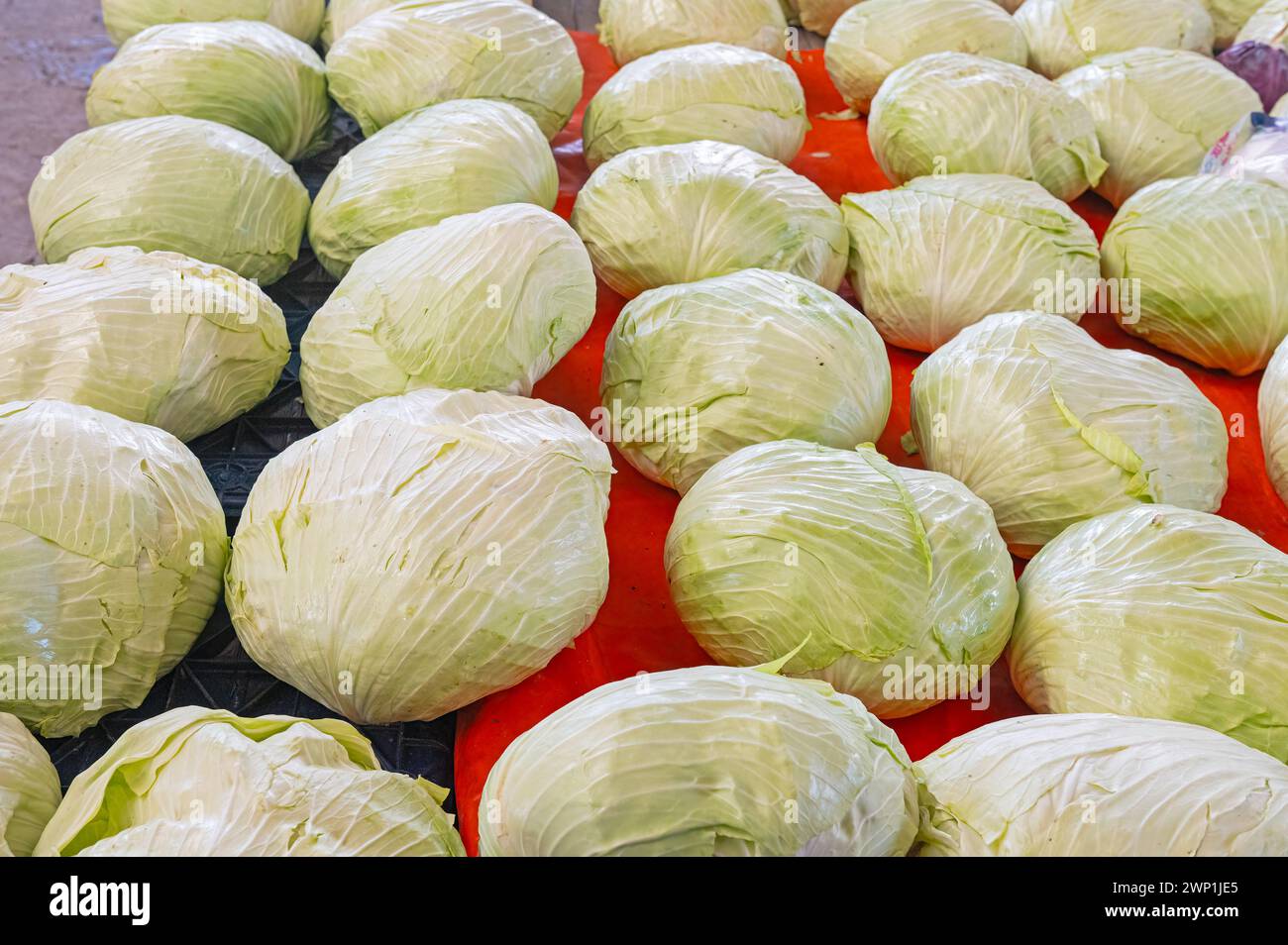 Weißkohl auf dem Marktstand. Stockfoto