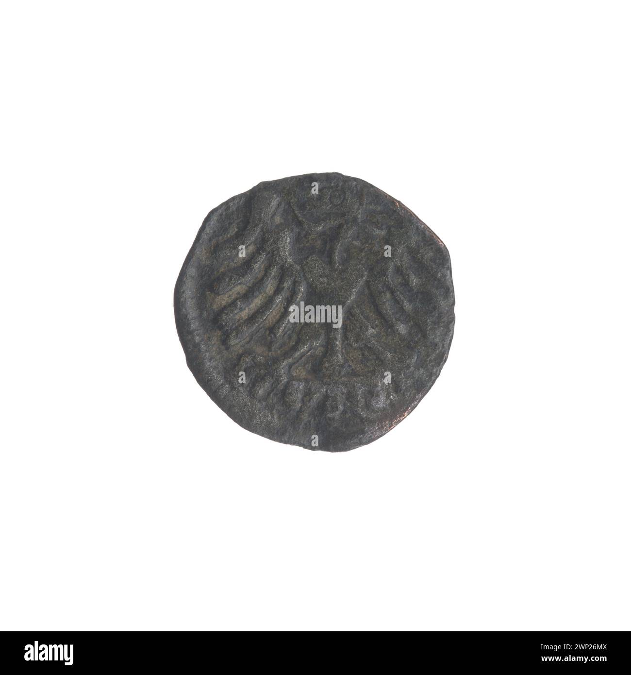 Die Denari-Münze, die in Polen während der Regierungszeit von König Zygmunt I. Stary (1506–1548) zwischen 1526 und 1527 ausgegeben wurde, wurde als Währung für Handel und Transaktionen in Umlauf gebracht. Stockfoto