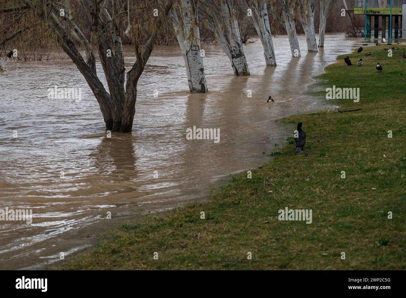 Überschwemmung des Ebro-Flusses durch Saragossa, Aragonien, Spanien Stockfoto