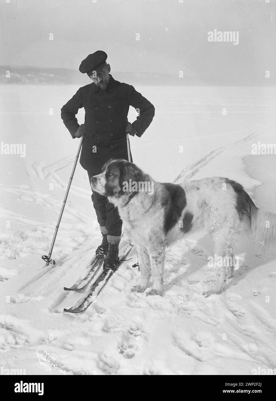 Porträt des Polarforschers Roald Amundsen auf Skiern mit seinem Hund. 1909 Stockfoto