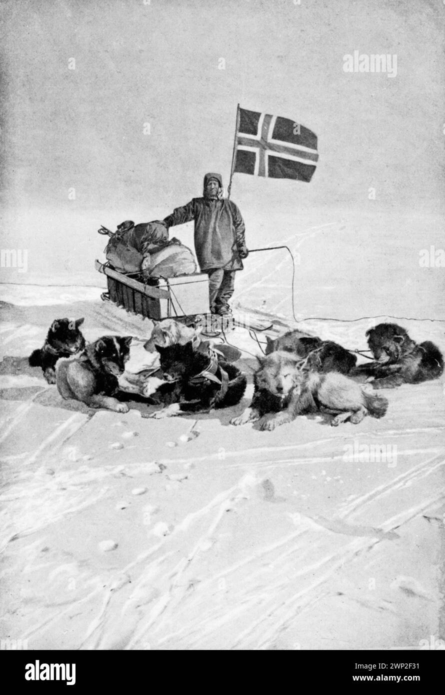 Dezember 1911. Am Südpol: Oscar Wisting, ein Teil der Roald Amundsen Polar Expedition, kommt mit ihren Hunden am Südpol an und pflanzt die Norwegische Flagge. Stockfoto