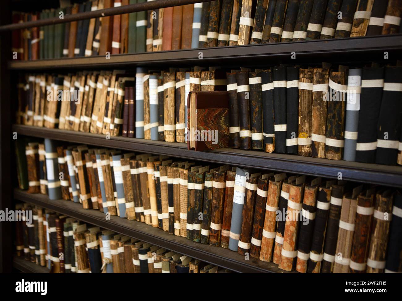 Bücher in Regalen der 1806 gegründeten Portico Library in der Mosley Street in Manchester. Die Bibliothek, bei der es sich um eine unabhängige Abonnementbibliothek handelt Stockfoto