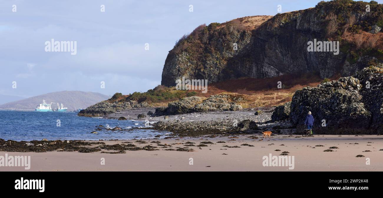 Hund spazieren auf Gavavan Sands bei Oban, Schottland Stockfoto