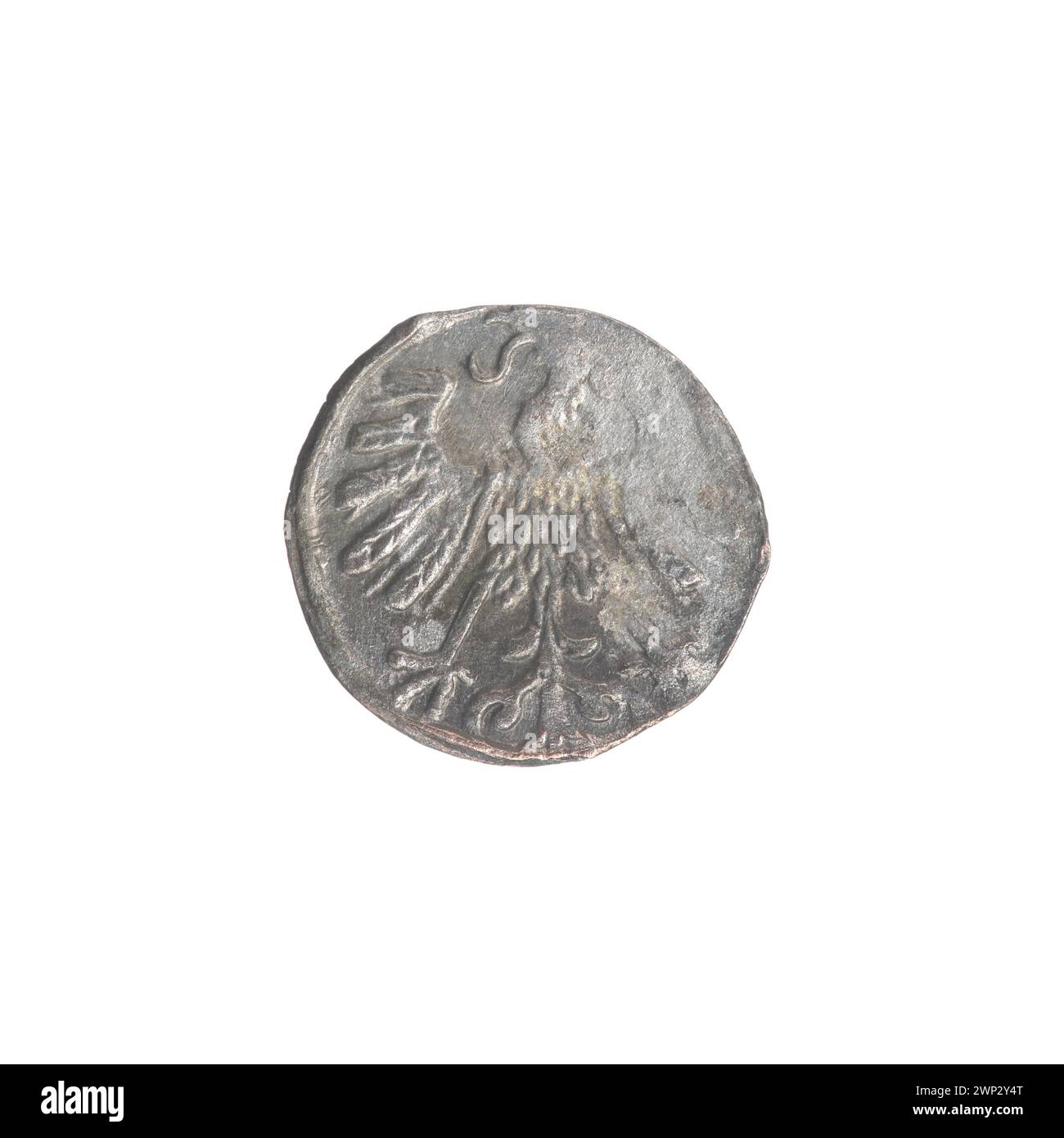 Silberdenar, geprägt 1559 in Vilnius während der Regierungszeit von König Sigismund II. August vom Großherzogtum Litauen. Die Münze zeigt auf der Vorderseite ein gekröntes Monogramm „SA“ und auf der Rückseite einen Ritter zu Pferd. Er wiegt etwa 0,20–0,32 Gramm und hat einen Durchmesser von 11–13 mm. Klassifiziert als selten (R3) nach numismatischen Referenzen. Stockfoto