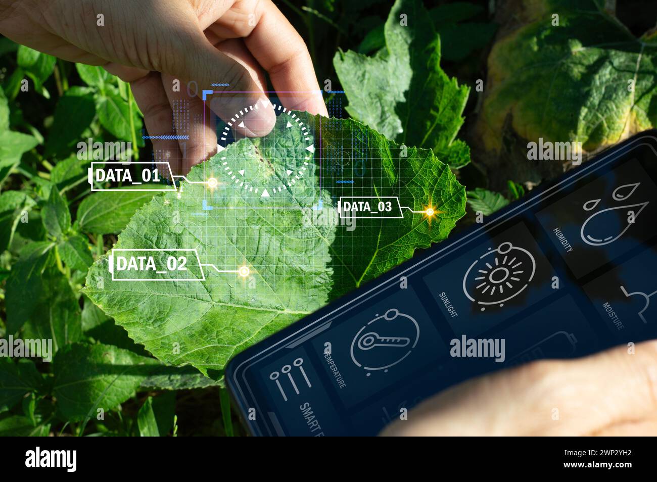 Das Konzept der Nutzung von KI und intelligenter Landwirtschaft Stockfoto