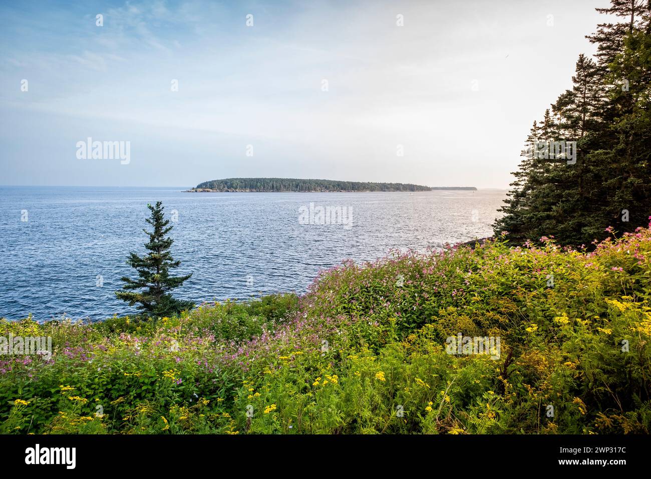 Owls Head Lighthouse in Rockland Maine USA an einem klaren, sonnigen Sommertag mit blauem Himmel Stockfoto